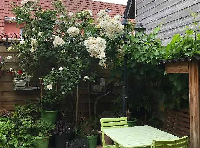 L'atelier De Jocelyne *